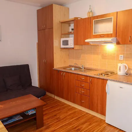 Horni Rokytnice-1 By Interhome Apartmán *