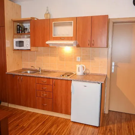 Horni Rokytnice-1 By Interhome Apartmán