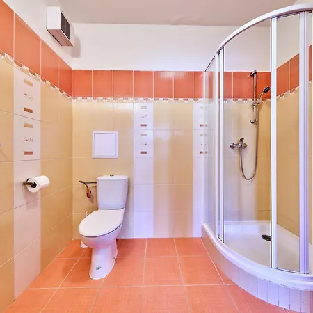 Lejlighed Horni Rokytnice-1 By Interhome