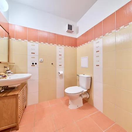 Horni Rokytnice-1 By Interhome