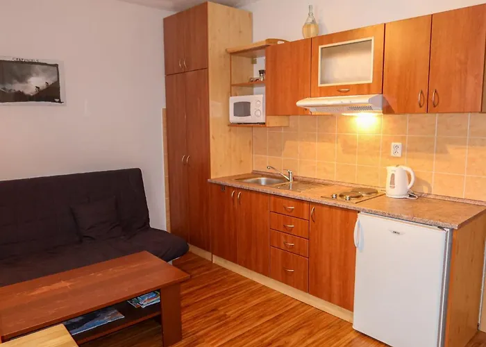 Horni Rokytnice-1 By Interhome Lägenhet *